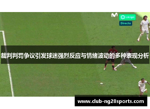 裁判判罚争议引发球迷强烈反应与情绪波动的多种表现分析